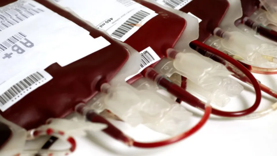 What You Need to Know About Blood Types