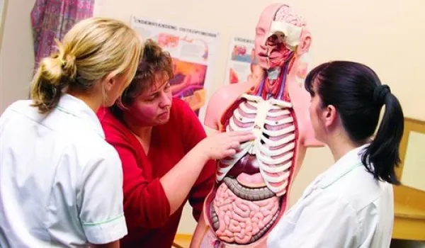Practical Nursing students learning