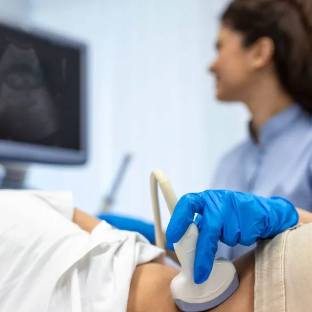 Sonographer conducting abdominal ultrasound with patient while monitoring live scan results.