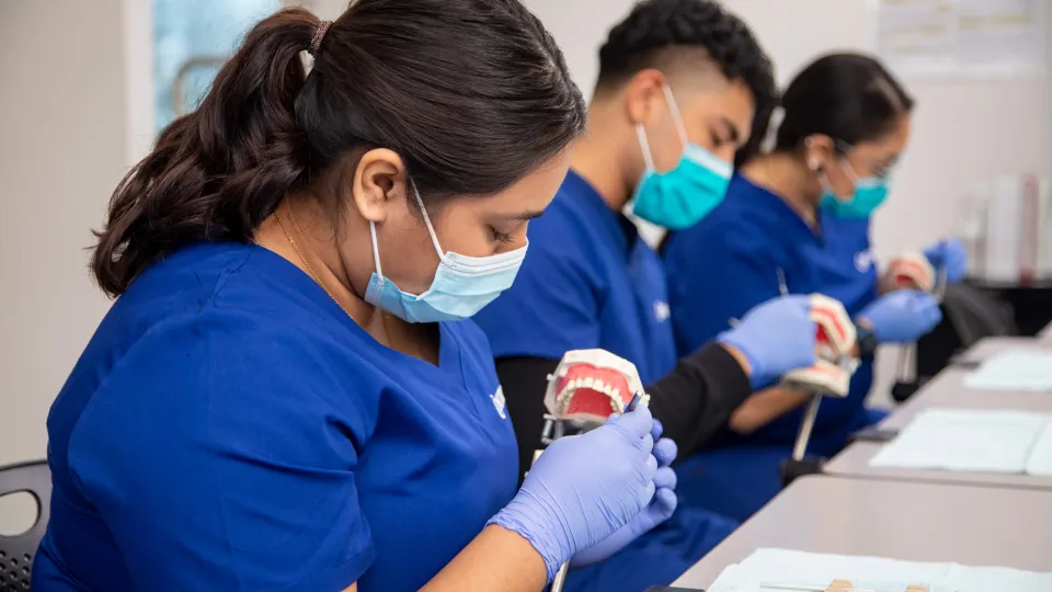 Dental Assistants examining dental casts.