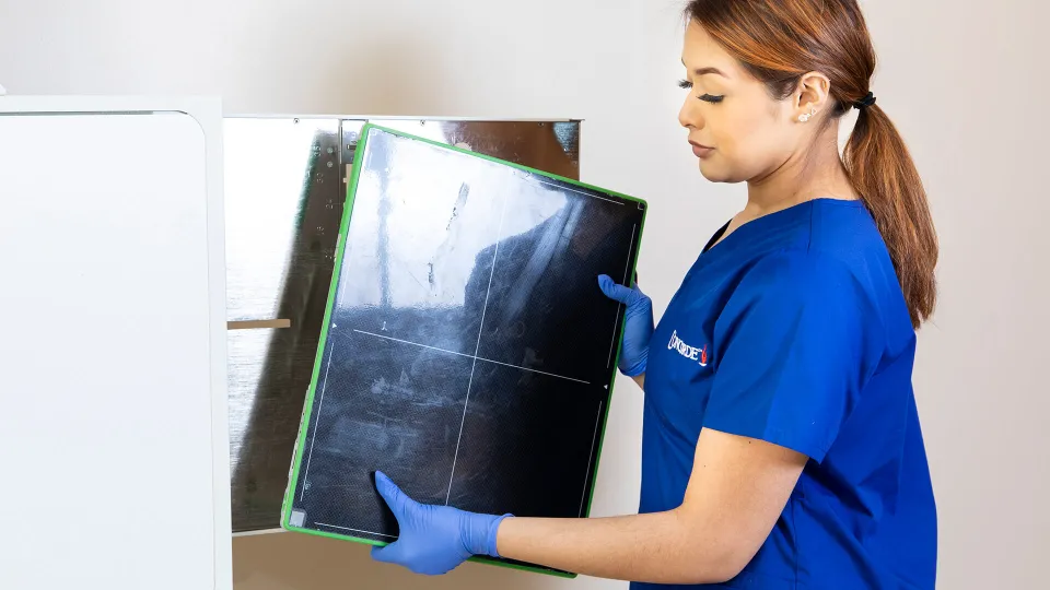 Technology skills being demonstrated by radiology tech holding x-ray film Technology skills being demonstrated by radiology tech holding x-ray film