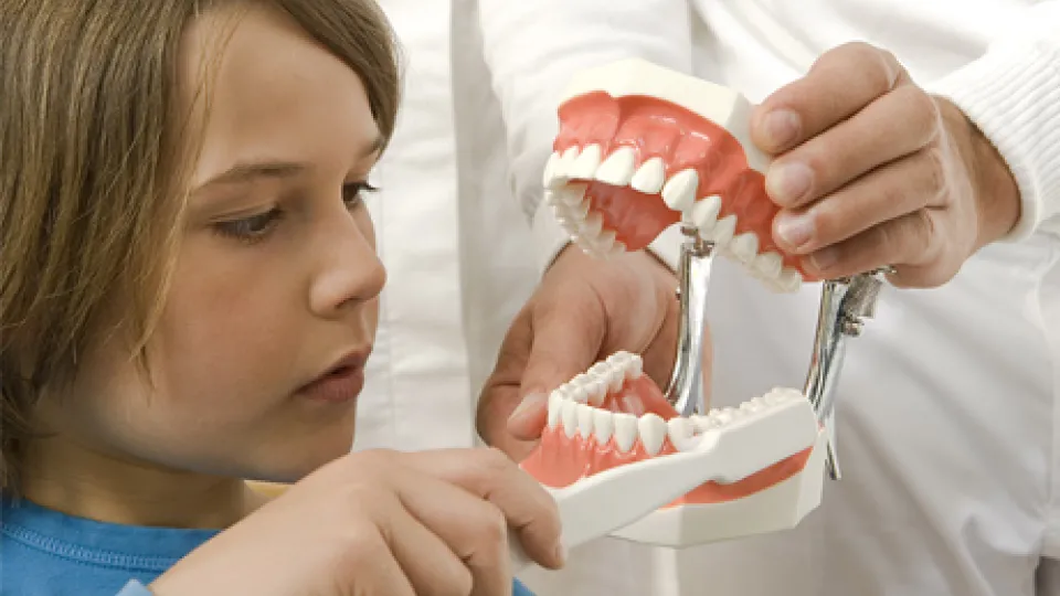 How to brush your teeth How to brush your teeth