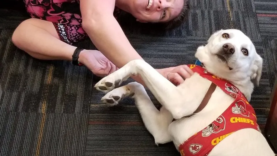 MOMKC Therapy Animals Sheyenne title