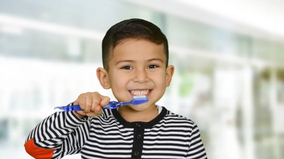 dental hygiene (6) dental hygiene