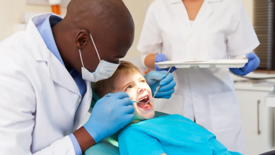 dental dental