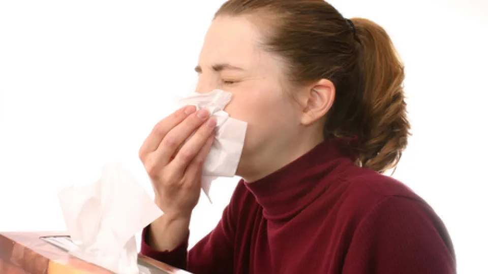 sneezing sneezing