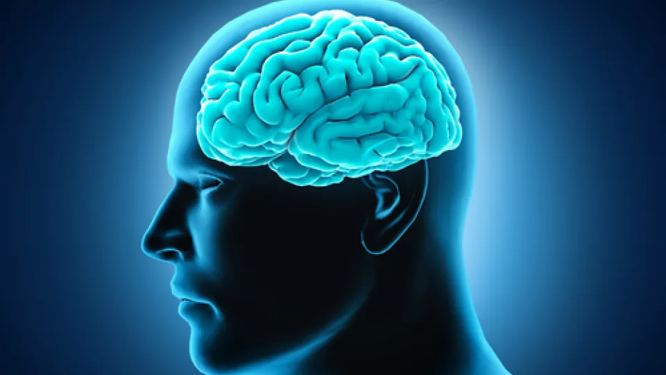 neurodiagnostic technology (2) neurodiagnostic technology