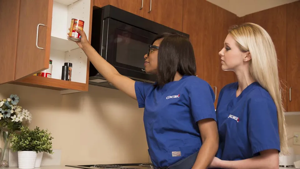 occupational therapy assistant occupational therapy assistant