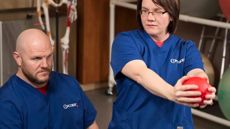 Physical Therapist Assistant Programs Physical Therapist Assistant Programs