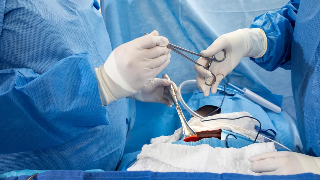 Surgical Tech in gloves passing an instrument to surgeon in the operating room.
